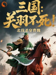 三国：关羽不死，北伐杀穿曹魏畅销小说推荐