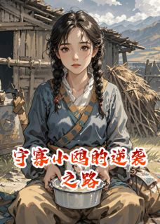 守寡小鸥的逆袭之路完整文集阅读