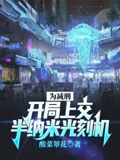 为减刑，开局上交半纳米光刻机精选小说