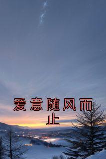 爱意随风而止完整文集阅读