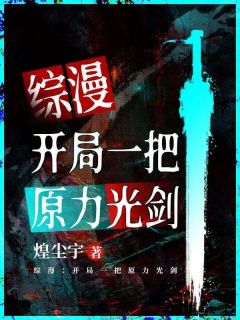 综漫：开局一把原力光剑长篇小说