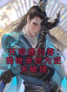开局遇剑尊：我继承修为逆天破境全章阅读