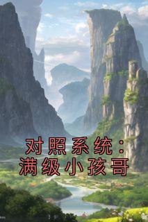 对照系统：满级小孩哥优秀文集