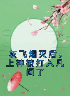 灰飞烟灭后，上神被打入凡间了热门小说