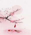 偷怀崽后神医弃妃她休夫了全文版