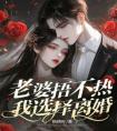 老婆捂不热，我选择离婚全集小说推荐
