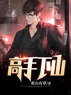 高手下山热门小说