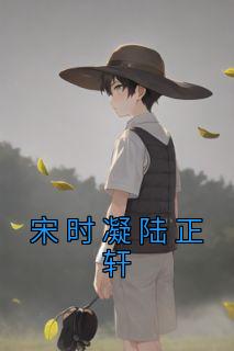 宋时凝陆正轩免费看
