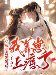 穿成恶毒嫂嫂后，我养崽上瘾了精品小说