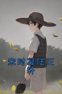 宋时凝陆正轩免费看