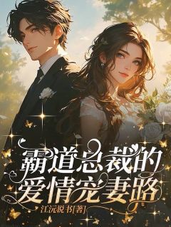 霸道总裁的爱情宠妻路热门小说