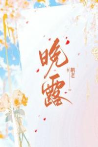 晚露精品小说