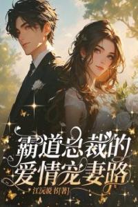 霸道总裁的爱情宠妻路热门小说