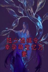 陆少追缉令：幸孕萌宝亿万妻完整阅读