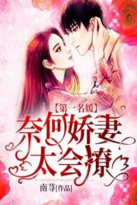 第一名媛：奈何娇妻太会撩高质量小说