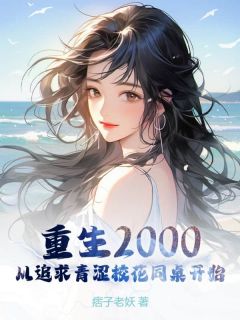 重生2000：从追求青涩校花同桌开始精选小说