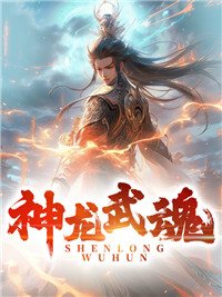 神龙武魂畅销巨作