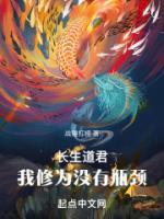 无上仙主：修为无限提升畅销小说推荐