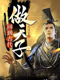 回到古代做天子精选小说