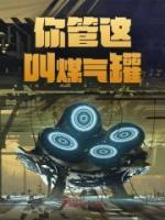 你管这叫煤气罐？畅销巨著