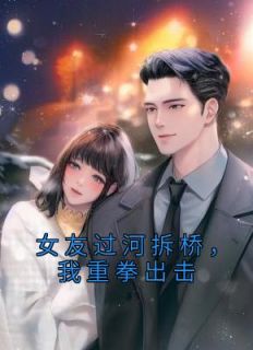 女友过河拆桥，我重拳出击精品阅读
