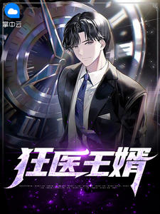 狂医王婿完整版
