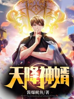 天降神婿全本阅读