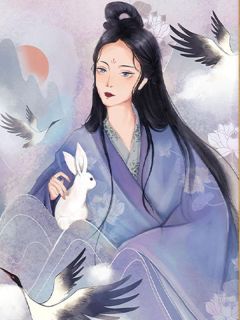 岁岁安澜精品阅读