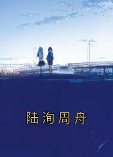 陆洵周舟热门小说