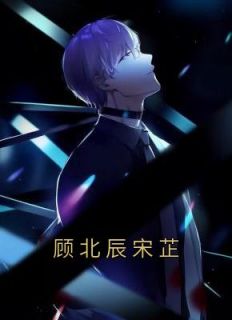 顾北辰宋芷精品阅读