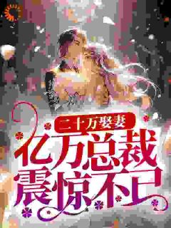 二十万娶妻，亿万总裁震惊不已全集小说