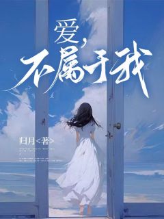 爱，不属于我全集小说