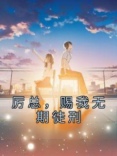 厉总，赐我无期徒刑精品小说