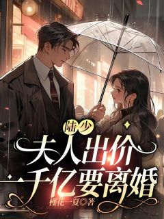 陆少，夫人出价一千亿要离婚长篇小说