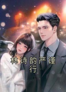 林诗韵严谨行畅销小说推荐
