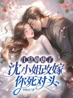 江总别虐了，沈小姐改嫁你死对头全集小说推荐