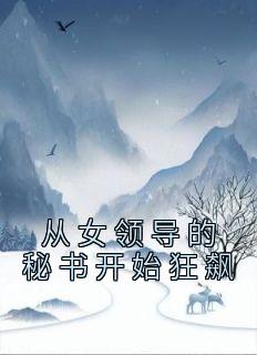 从女领导的秘书开始狂飙完整文集阅读