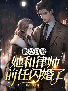 禁止离婚！陆律师蓄谋已久精选小说推荐