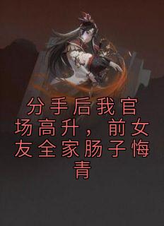 分手后我官场高升，前女友全家肠子悔青畅销巨著