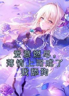 爱意燃尽，薄情上司成了我舔狗全文阅读