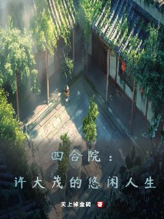 四合院：许大茂的悠闲人生精选小说推荐