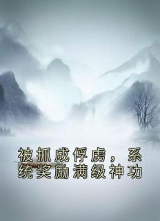 被抓成俘虏，系统奖励满级神功精品小说