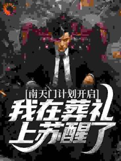 南天门计划开启，我在葬礼上苏醒了畅销巨著
