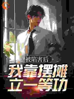 被陷害后，我靠摆摊立一等功全文阅读