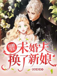 结婚当天，未婚夫换了新娘高质量小说