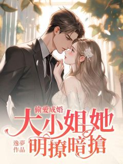 偷爱成婚，大小姐她明抢暗撩免费看