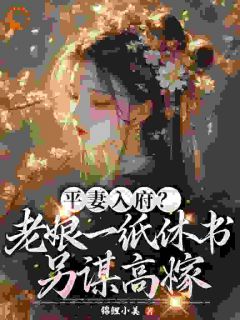 平妻入府？老娘一纸休书另谋高嫁精品小说