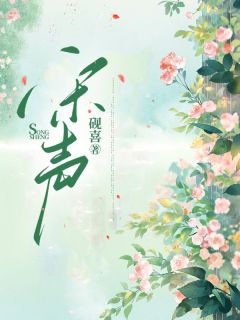 宋声畅销巨作