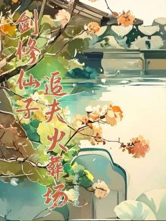 剑修仙子追夫火葬场全本阅读