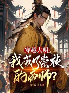 穿越大明，我成了崇祯的帝师？精选小说